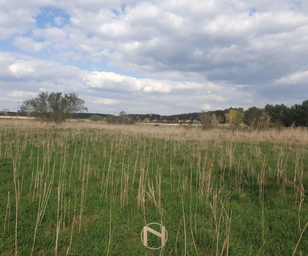 Działka na sprzedaż,   Łośno - 90 000 zł