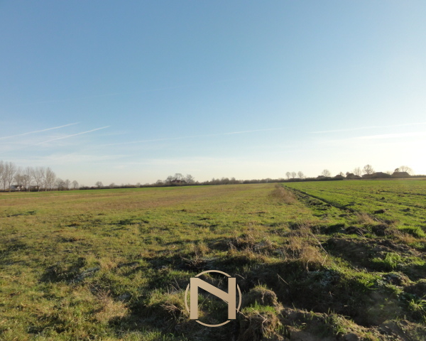Działka na sprzedaż,   Kostrzyn Nad Odrą, Warniki - 900 000 zł