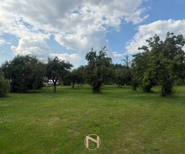   Warnice - 450000 zł (nr 112/3120/ODS)