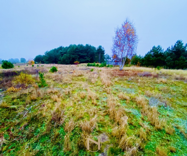 Działka na sprzedaż,   Karnin - 204 525 zł