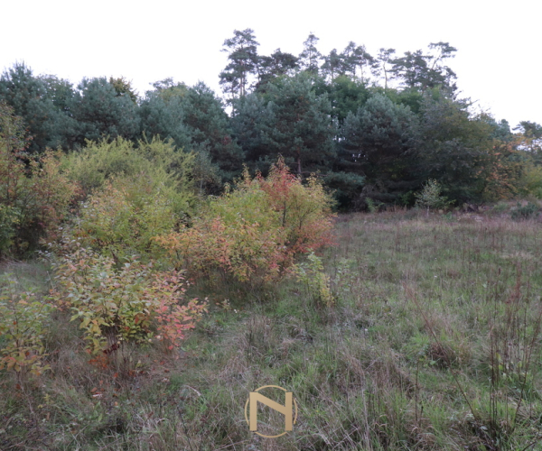 Działka na sprzedaż,   Mironice - 254 280 zł