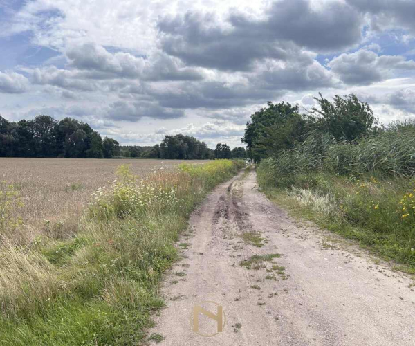 Działka na sprzedaż,   Gorzów Wielkopolski, Zieleniec - 199 000 zł